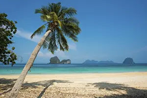 Drucke von Weiße Sandstrand und Kokospalmen, Sonnenaufgangsstrand, Koh Great white shark, Ko Ngai, Provinz Krabi, Trang, Südthailand, Andaman-Meer, Thailand Weißer Hai Drucke: Weißer Sandstrand und Kokospalmen.