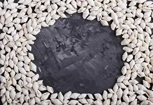 Tropical Decorative Item Drucke: White small seashells frame pattern on a black concrete background