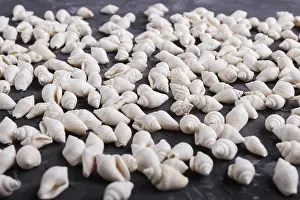 White Seashells Drucke: White small seashells pattern on a black concrete background