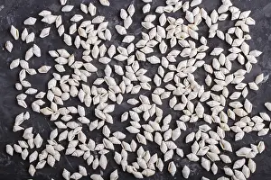 Flat Lay Design Drucke: White small seashells pattern on a black concrete background