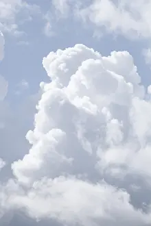 Drucke von Weißer Frühlingsnebel, blauer Himmel, Deutschland Humilis Drucke: Weißer Frühlingsnebel, blauer Himmel, Deutschland.