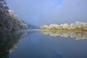 Baden Wurttemberg Winter Landscapes Drucke: White trees are reflected in the river