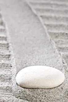 Deserted Daytime Scene Drucke: A white walking stone