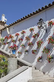 Drucke von Weiße verputzte Wand mit blühenden Blumenvasen, roten Geranien und einem dekorativen Laterne an einem sonnigen Tag, Córdoba, Andalusien, Spanien Cordoba Drucke: Weiß getünchter Wand mit blühenden Blumenvasen.