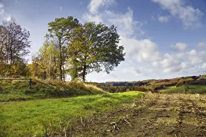 Landscape Photography Germany Drucke: Wide landscape with fields and trees under blue sky with clouds