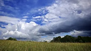 Gloomy Weather Forecast Drucke: Wide meadow under a sky with dramatic clouds in front of a thunderstorm in summer