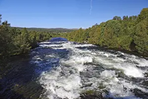 Norway River Drucke: Wild flowing river lined with trees