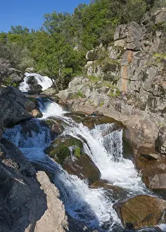 Deserted Forest Waterfall Scene Drucke: Wild-looking waterfall over rocks and surrounded by forest
