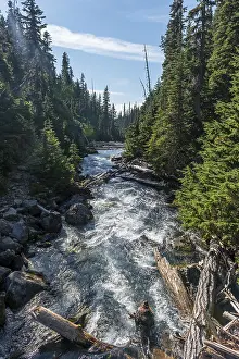 Canadian Wilderness Photography Drucke: Wild river surrounded by forest
