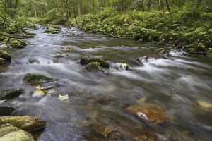 Uninhabited Mountain Torrent Drucke: Wildbach, Torrent