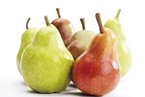 Studio Shot Pears Drucke: Williams- or Bartlett Pears