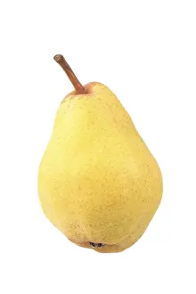 Studio Shot Pears Drucke: Williams pear