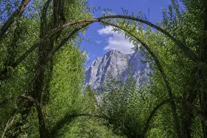 Empty Villages In Europe Drucke: Willow Dome in the background Planspitze