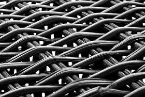 White Studio Background Design Drucke: Willow structure against a white background