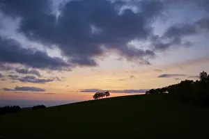 Cloudy Skies Southern Germany Drucke: Wind beeches at sunset with cloudy sky in spring