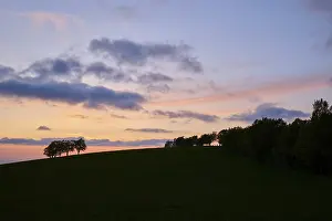 Sunset In The Black Forest Drucke: Wind beeches at sunset with cloudy sky in spring