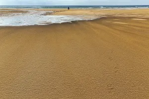 Icelandic Coastal Area Drucke: Wind blowing over structures in the sand