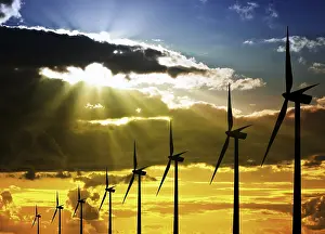 Eco Friendly Energy Drucke: Wind Farm at Sunset