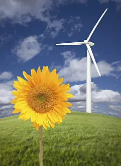 Nature Photography Botany Drucke: Wind turbine against dramatic sky