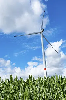 Green Energy Production Drucke: Wind turbine with white clouds and corn in the front