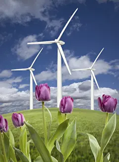 Deserted Skies Drucke: Wind turbines against dramatic sky