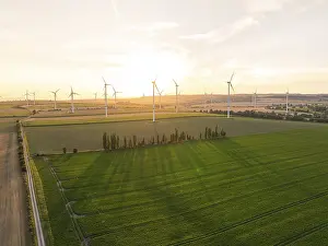 Eco Friendly Wind Turbines Drucke: Wind turbines over extensive fields at sunset