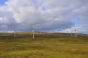 Wind Turbines Scotland Drucke: Wind turbines scattered across fields under a cloudy sky