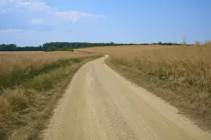 Central European Countryside Drucke: A winding sandy path through vast fields under a cloudy blue sky