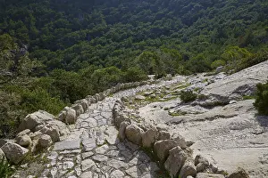 Historic Fortification Greece Drucke: Winding, stony path through a forest full of rocks