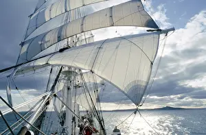 European Sailing Boat Drucke: Windjammer under canvas