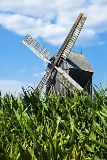 Eastern European Countryside Scenery Drucke: Windmill, Beelitz, Brandenburg, Germany