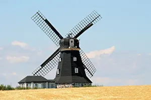 Scandinavian Agricultural Landscape Drucke: Windmill in a field of corn, Smedstorp