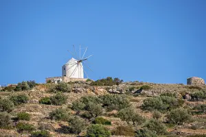 Windmill In Greece Drucke: Windmill in front of olive grove