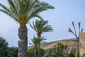 Blue Sky Tourist Attraction Drucke: Windmill, palm trees, blue sky