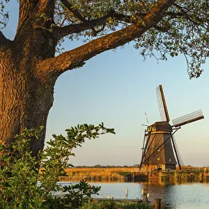 Windmill At Sunset Drucke: Windmill at sunset, Kinderdijk