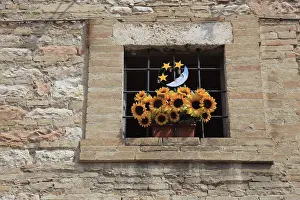 Historic Building Facade Drucke: Window with a bunch of plastic flowers