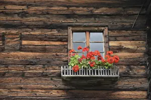 Deserted Timber Building Drucke: Window, flower window, rustic, mountain hut