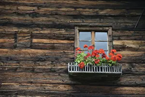 Deserted Timber Building Drucke: Window, flower window, rustic, mountain hut