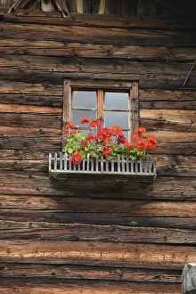 Alpine Hut Drucke: Window, flower window, rustic, mountain hut