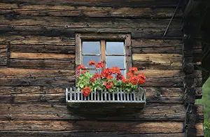 Deserted Timber Building Drucke: Window, flower window, rustic, mountain hut