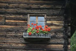 Deserted Timber Building Drucke: Window, flower window, rustic, mountain hut