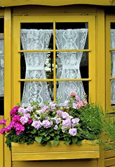 Ornamental Flower Garden Drucke: Window with geraniums outside