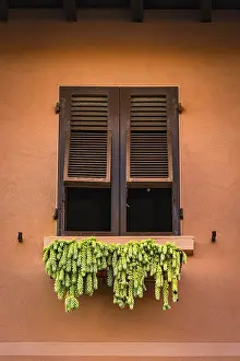 Agricultural Crops In Italy Drucke: Window with hops for drying, Italy