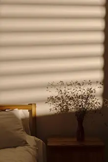 Deserted Apartment Interior Drucke: Window shadow bedroom wall