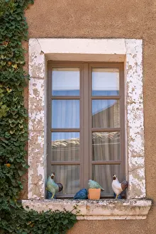 Historic House Facade Drucke: Window with various ceramics on windowsill