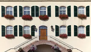 Floral Arrangement Decoration Drucke: WindowFront