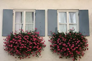 Daytime Architecture Photography Drucke: Windows with flower boxes