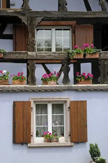 Historic House Facades Drucke: Windows, flower windows, Alsace