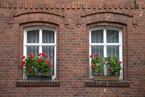 Brick Facade Germany Drucke: Windows with flowering geraniums
