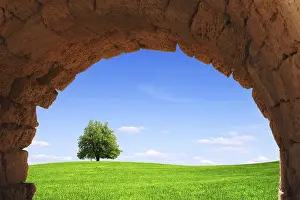 Deserted Agricultural Land Drucke: Windows on the World
